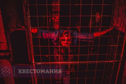 Квест-Перформанс Вакцина вечной жизни