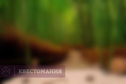 Путь самурая