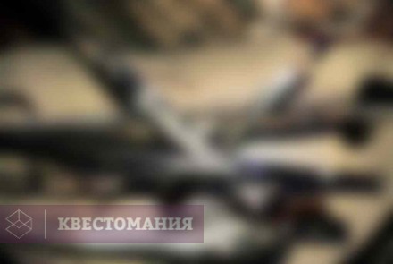 Квест-Перформанс Ксенос