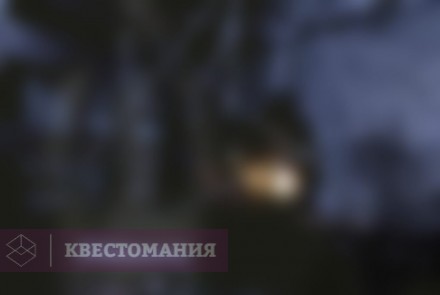 Квест-Перформанс Носферату