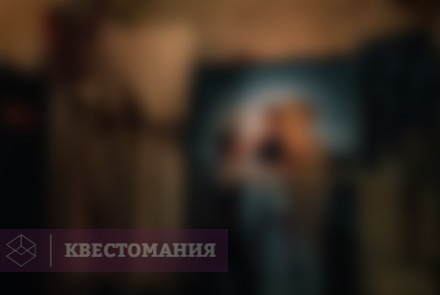 Квест-Перформанс Люкс 113