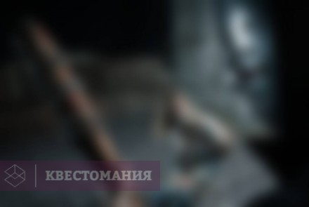 Квест-Перформанс Капкан