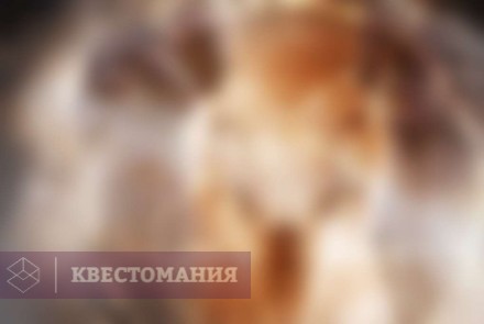 Квест Спиритизм