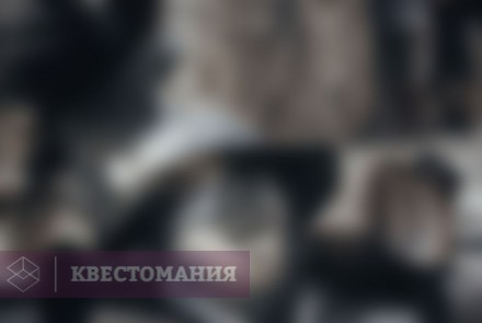 Квест-анимация Рыцарский квест: чаша Грааля