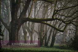Сладкие крошки Гримм
