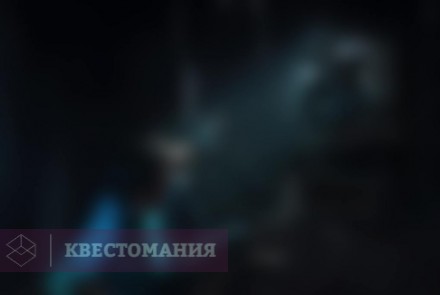 Квест-Перформанс Lost in the dark