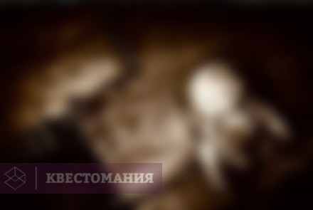 Квест Хижина маньяка.