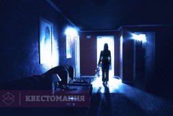 Тихие соседи