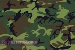 Курс молодого бойца