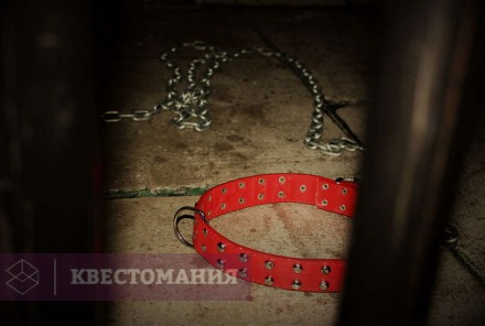 Квест Волшебник и судная ночь