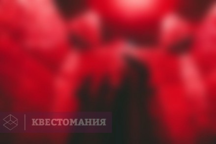 Квест-Перформанс Анабиоз