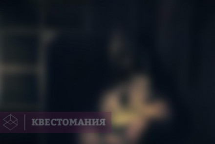 Квест-Перформанс ELSA