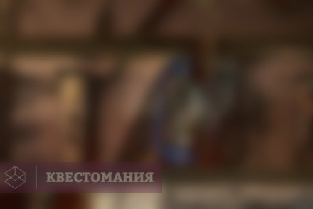 Квест-Перформанс ELSA