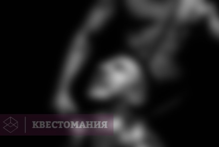Квест-Перформанс Не тот дом