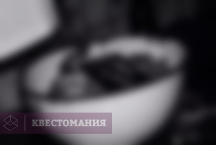 Квест-Перформанс НочлегЪ