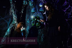 Приключения Гарри