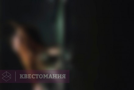 Квест Окулус