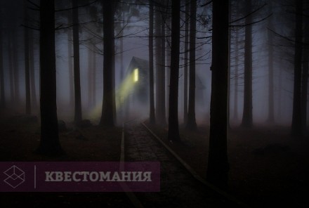 Квест-Перформанс Приют 2.0