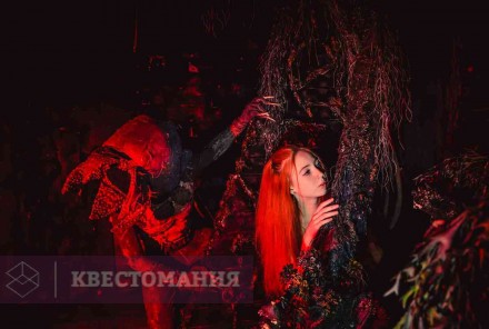 Квест Очень странные дела