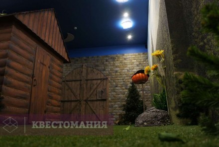 Квест Таинственная поляна