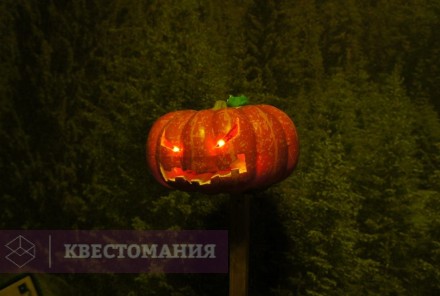 Квест Таинственная поляна