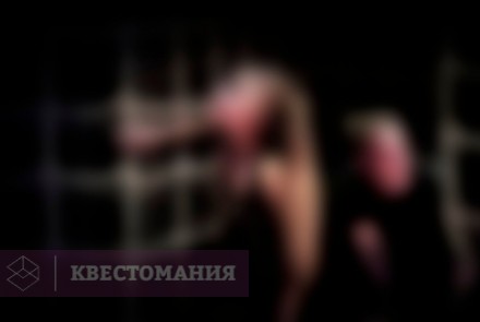 Квест Координация