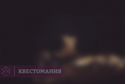 Квест-Перформанс Инкарнация