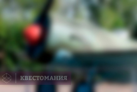 Городской квест Подвиг разведчика