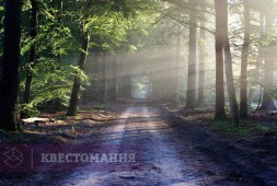 Скаутский турнир