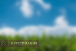 Круги на полях