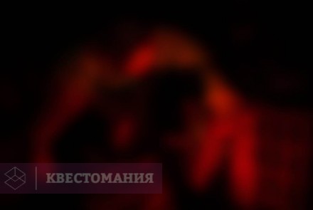 Квест-Перформанс Поворот не туда