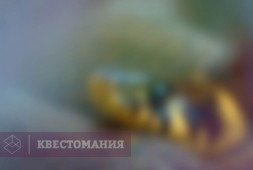 Змеиная свадьба