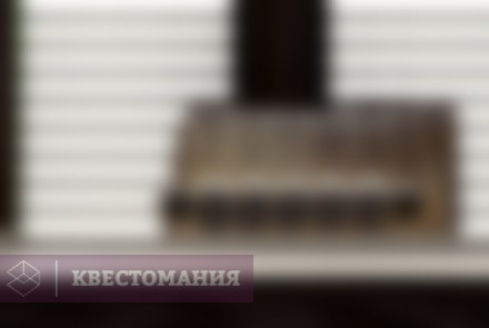 VR-квест Особое мнение