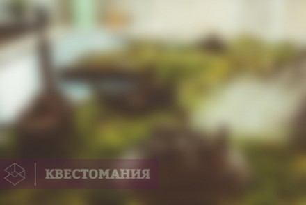 Квест Игра престолов: Семь королевств