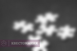 Че, самый умный?!