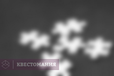 Квиз Че, самый умный?!
