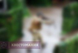 Большая игра