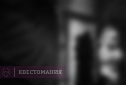 Квест-Перформанс Мэдвил Сити