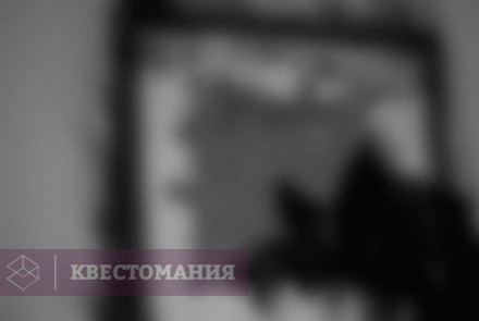 Квест-Перформанс Мэдвил Сити