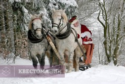 Новогодний квест