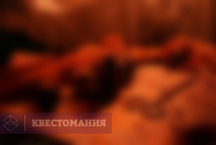 Квест-Перформанс Вортэкс