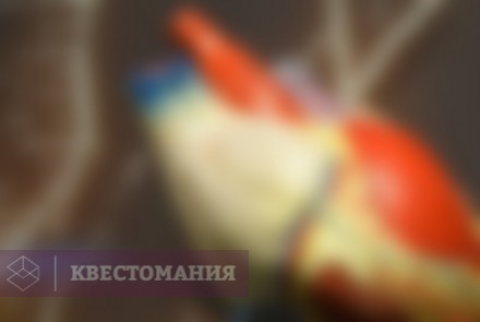 Городской квест Познай себя - познай мир