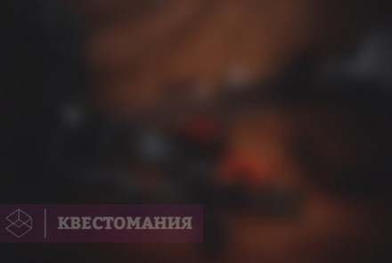 Квест-Перформанс Дикость
