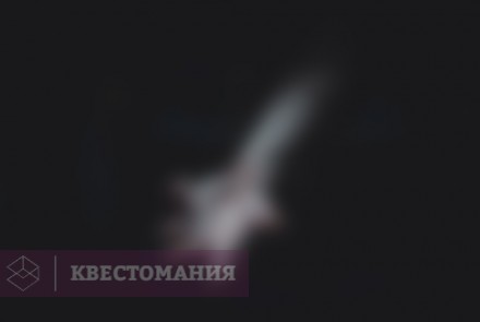 Квест-Перформанс Дикость