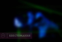 Сеть