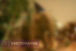 Кто на свете всех сильнее
