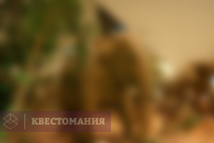 Городской квест Кто на свете всех сильнее
