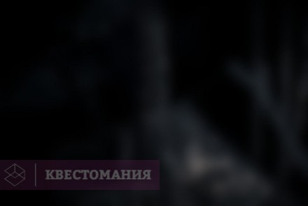 Квест-Перформанс Anima