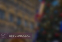 Тайна новогодней ночи