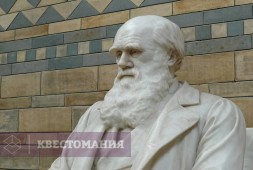 Квест в Дарвиновском музее
